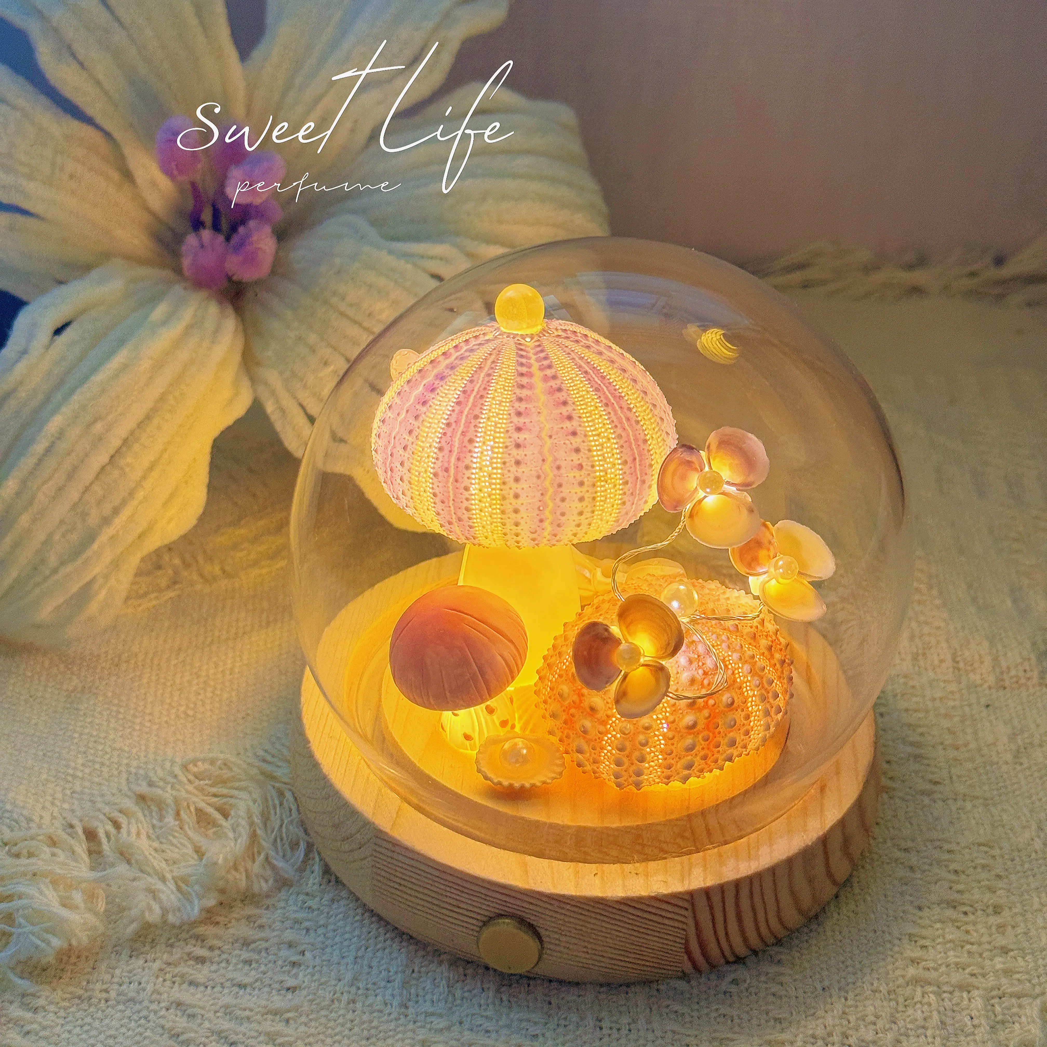 New Sea Urchin Lamp Ocean Island Shell Sea Urchin Night Light Luminous Ornament Portable Adult Bedroom Bedside Table Gift
