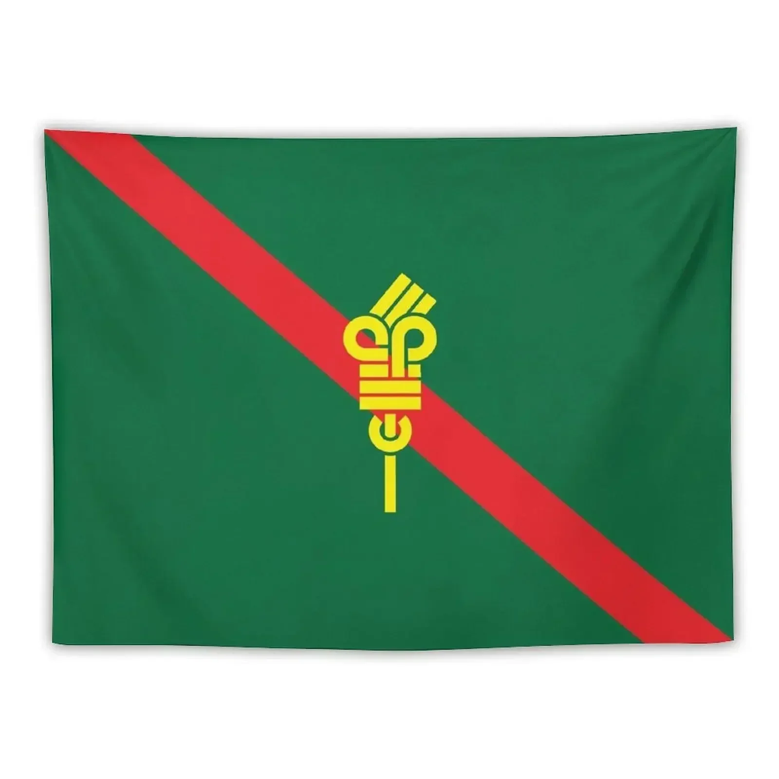 

Not the Ismaili Flag no no Tapestry Room Aesthetic Decor Bedroom Organization And Decoration Tapestry