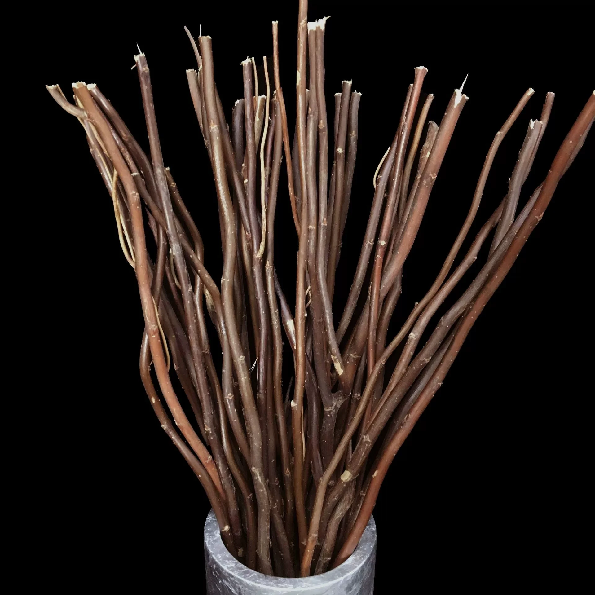 10Pcs Brown Natural Rattan Sticks & Dragon Willow Branches Essential Oil Diffuser Refill for Home Decor Aromatherapy Decor