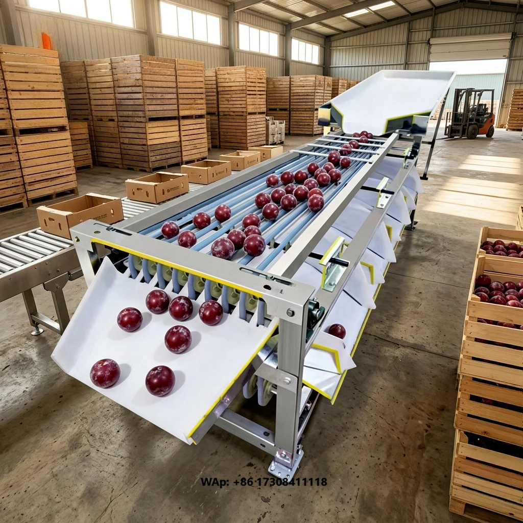 Automatic Fruit Vegetable Sorting Machine Fruit Cherry Tomato Onion Sorting Machine Blueberry Grading Sorting Machine