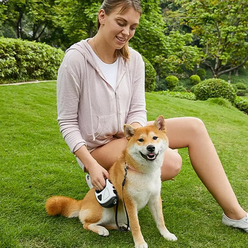 Retractable Dog Lead LED Leashes For Dogs 10ft Battery Operated High-Strength Nylon Rope Extendable Dog Leashes With Anti-Slip 2