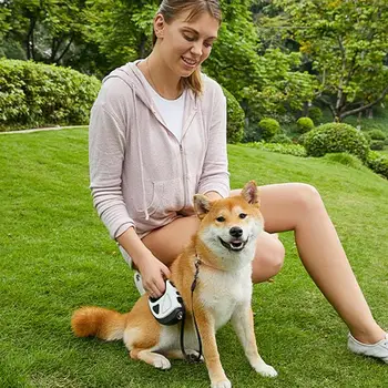 Retractable Dog Lead LED Leashes For Dogs 10ft Battery Operated High-Strength Nylon Rope Extendable Dog Leashes With Anti-Slip 2