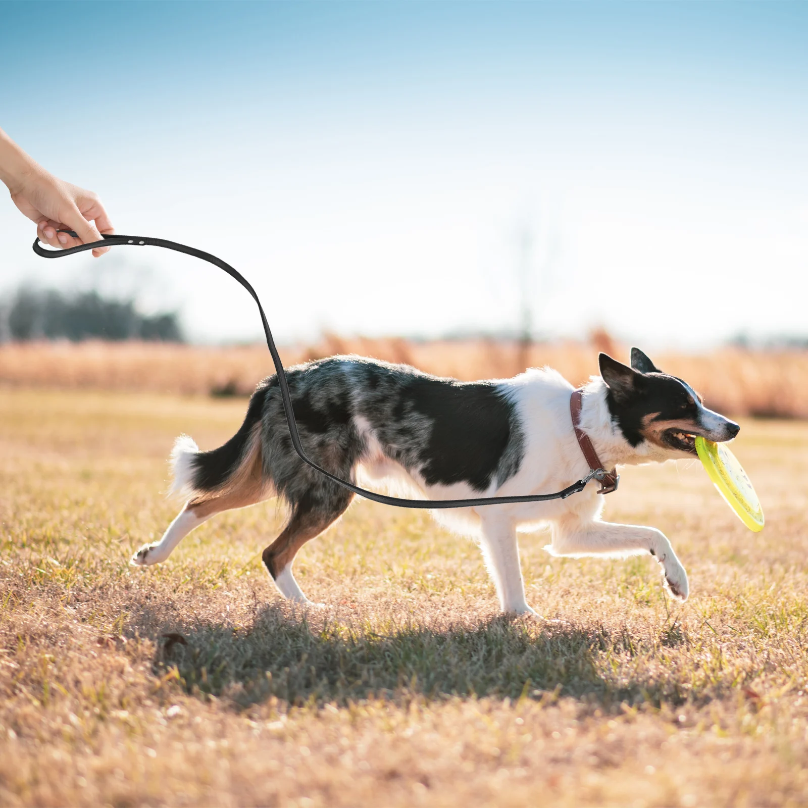 

Dog Leash Heavy Duty Bling Crystal Pet Supplies Studded Diamonds Small Dogs Walking Jogging Hiking Camping