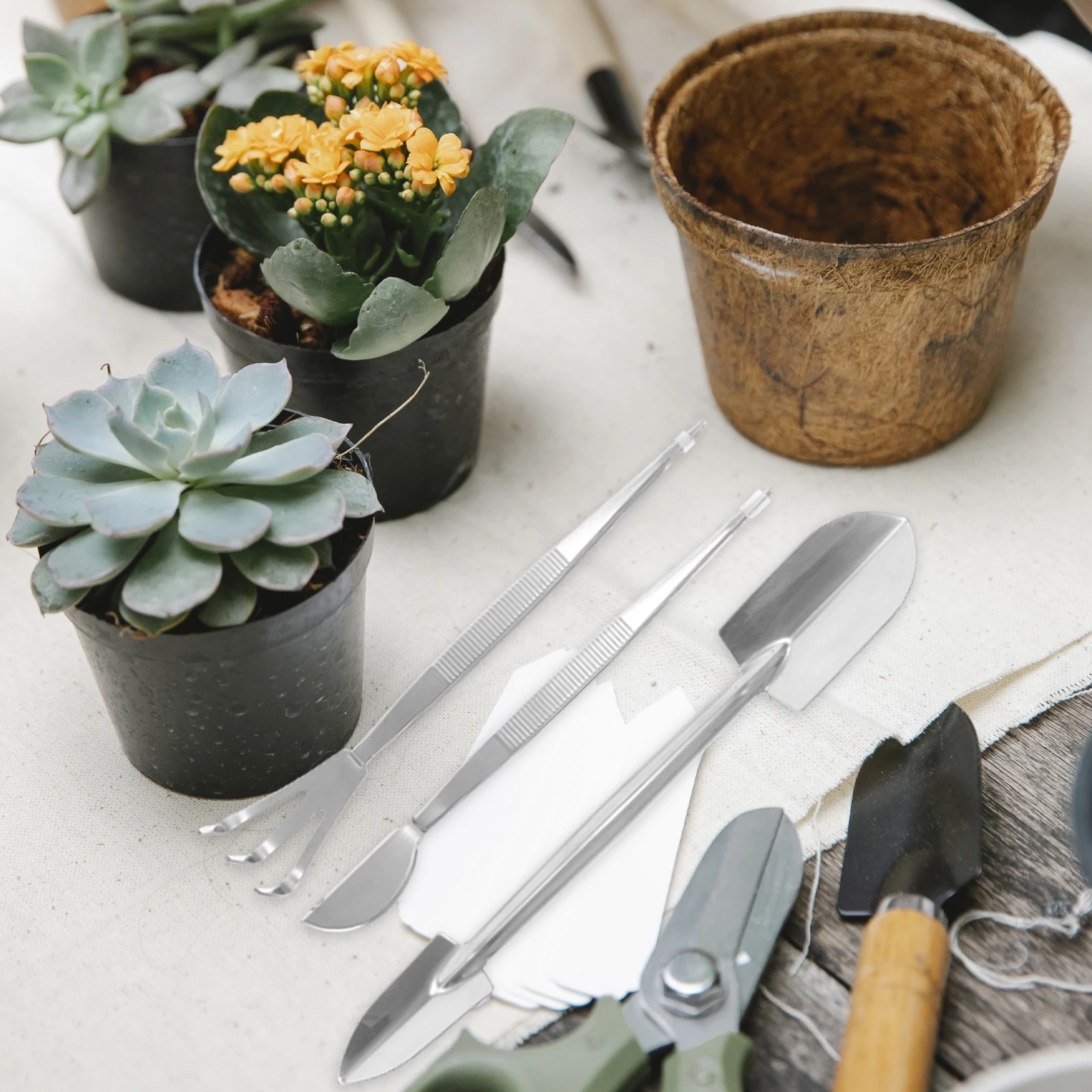 

1 Set Bonsai Tools Kit Stainless Steel Tweezers Small Rake Dual Spade Scraper For Weeding Moss Removal Portable Multi Function