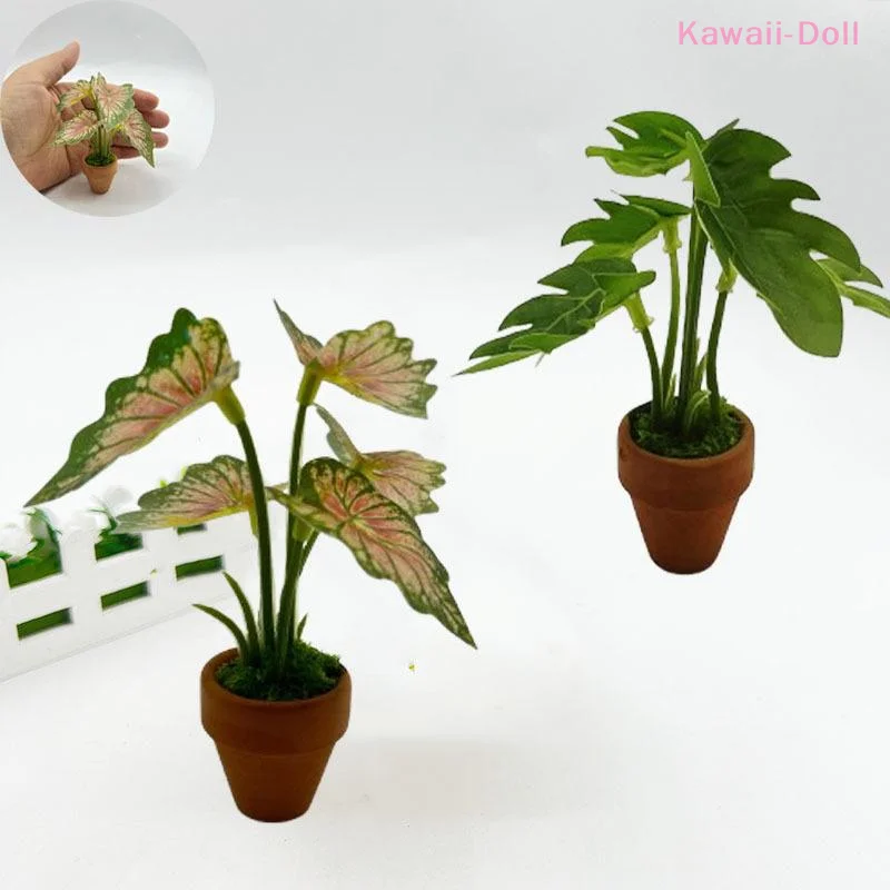 1Pcs Dollhouse Mini Taro Turtle Back Green Potted Plants Props Model Green Plants Miniature Scandinavian Style Decoration