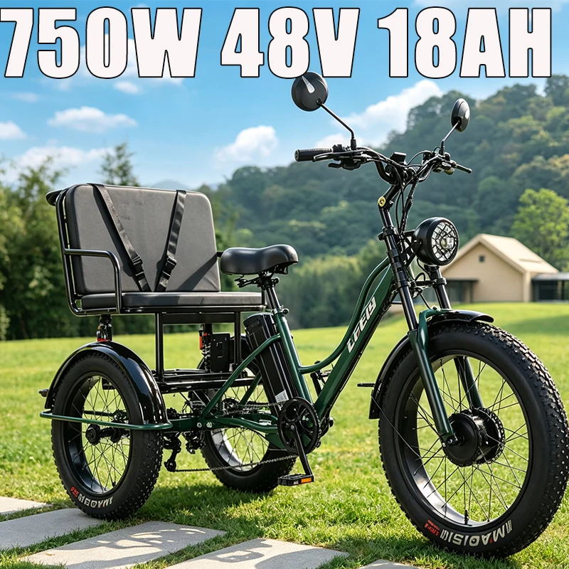 24 Inch Snow Wide Fat Tyre 3 Wheel Power Assisted E-Trike For Adult Cargo Pedal Riding 750W 48V 18Ah Detachable Lithium Battery
