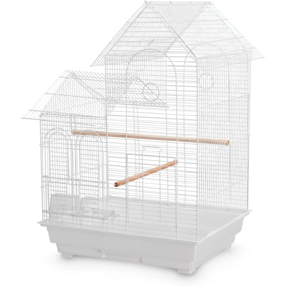 You & Me Cockatiel … - image