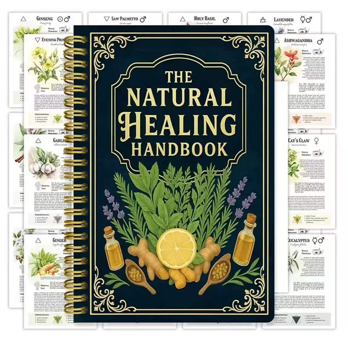 

A5 Herbal Learning Program Handbook with botanical illustrations, therapeutic properties, magical uses, and correspondence