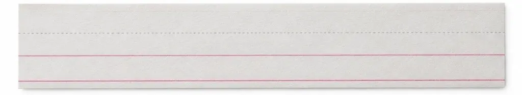 50Pcs Blank Alphabet Teaching Cards Strips Lined Sentence Strips for Word Practice English Writing Skills Reward System
