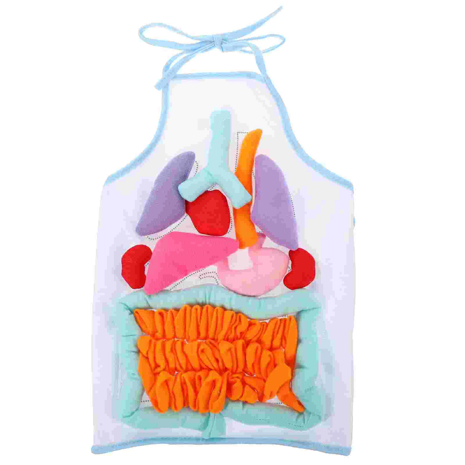 Teaching Apron Human Organs Children Learning Puzzle Childhood Aids Model Educational