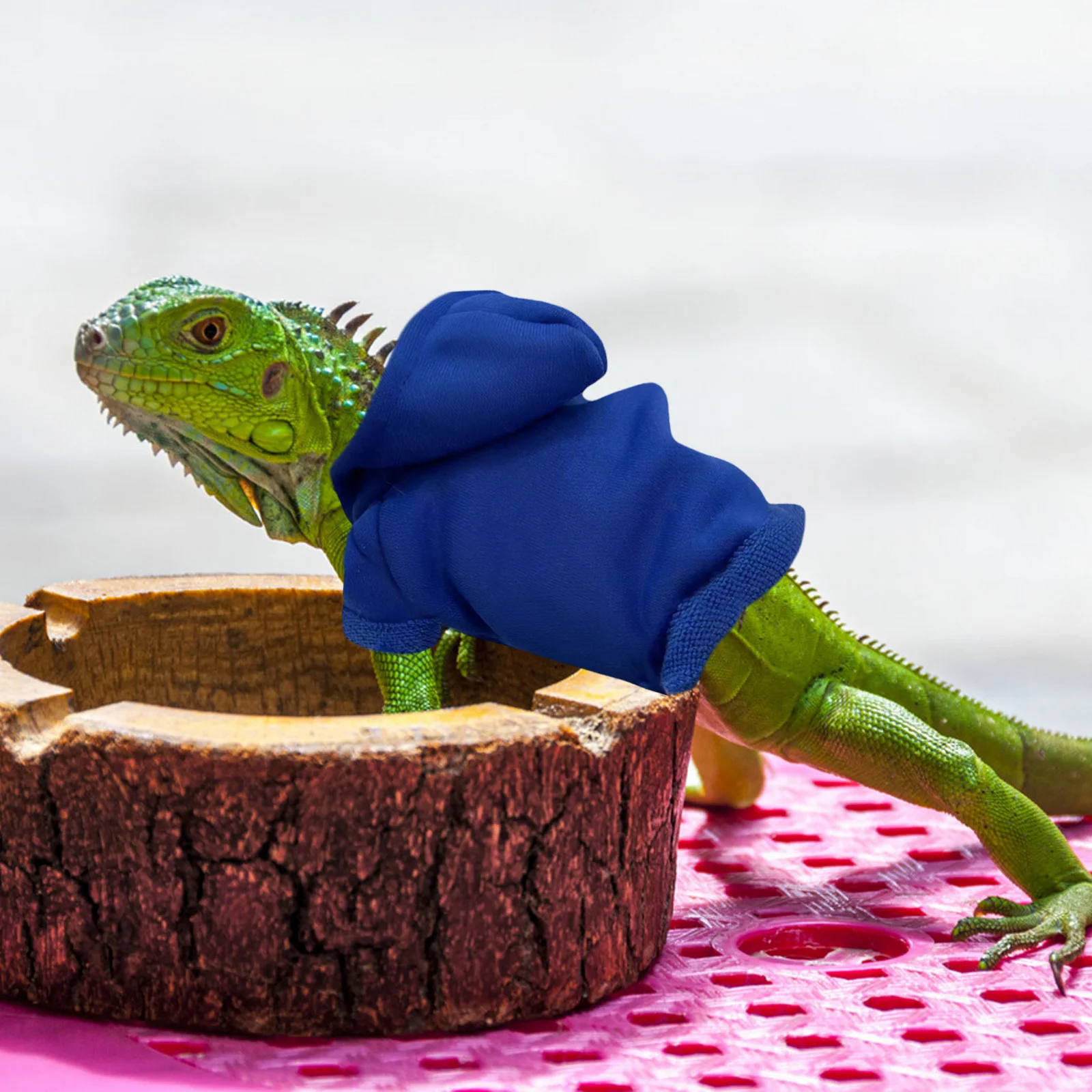 

Leopard Gecko Costume Cotton Skin Protection Outfit for Small Lizards Adjustable Reptile Apparel Party Halloween Event Wear