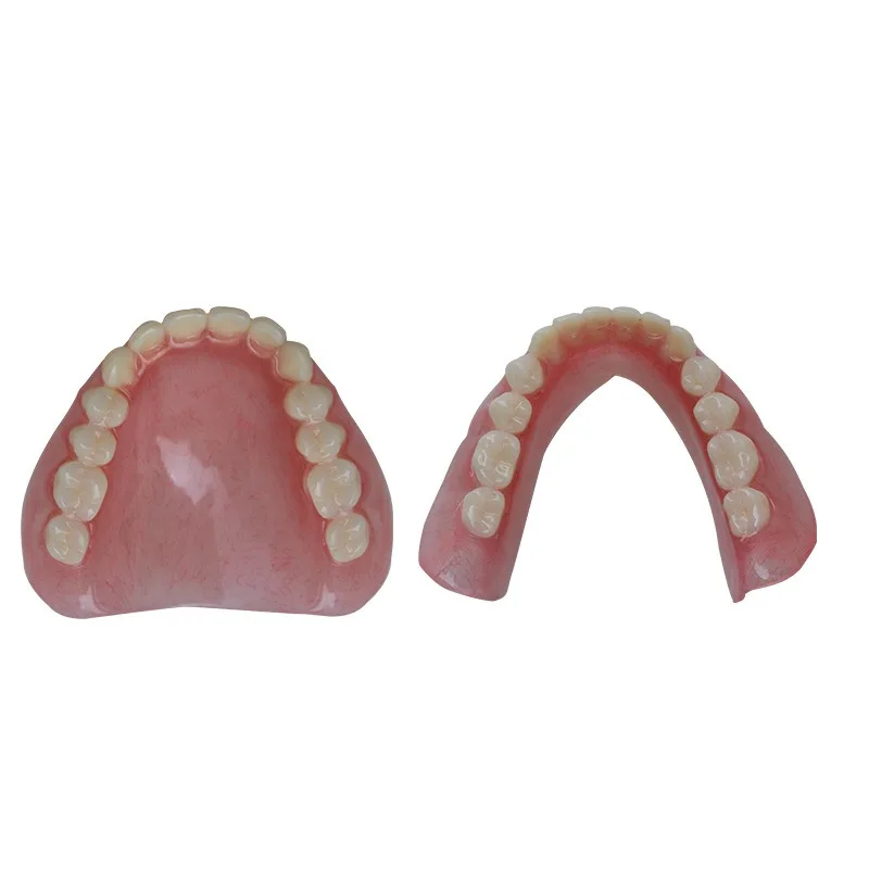 Dental Teeth Model Full Mouth Half Mouth Denture Sample Study Teaching Model for Dentist Training Clinic Education Demonstration