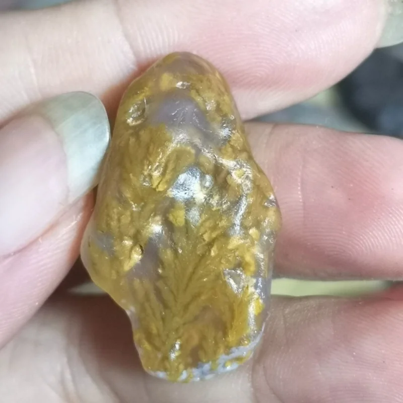 Natural yellow aquatic plant-shaped agate skull-shaped rare stone energy stone