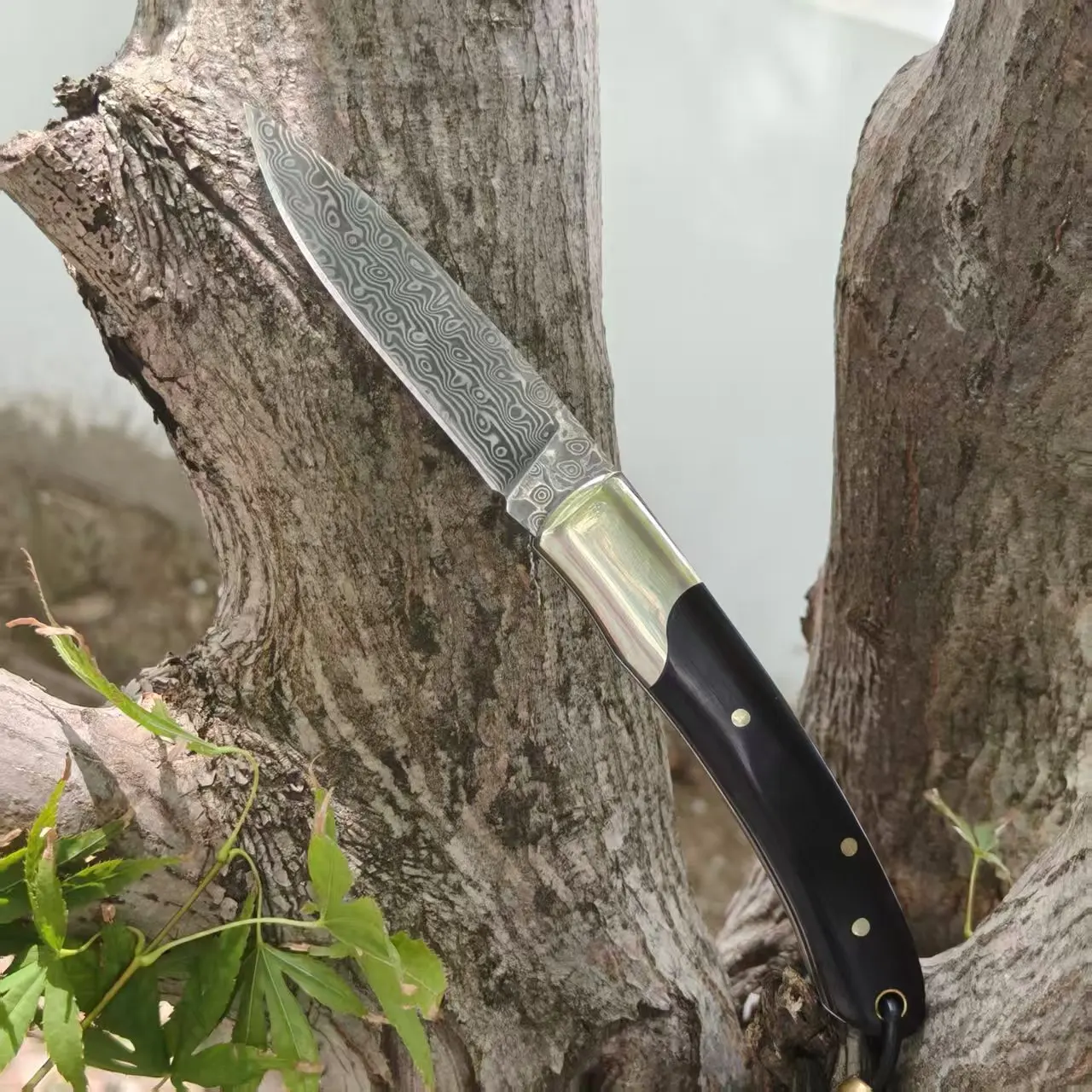 VG10 Damascus Steel Folding Knife, Ball Bearing Pivot with Black Micarta Handle, Premium  Tool for Outdoor & Daily Use