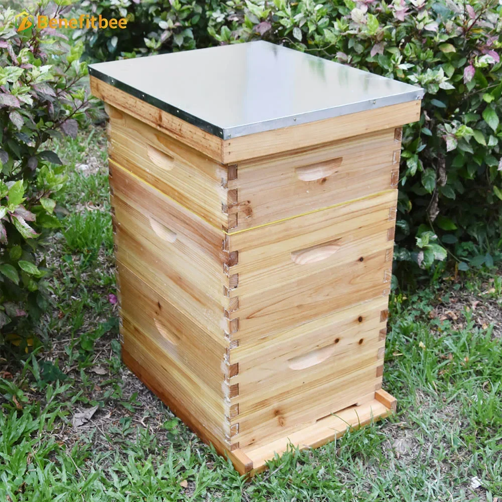 Beekeeping Supplies Wooden Beehive Bee Hive Langstroth Beehive