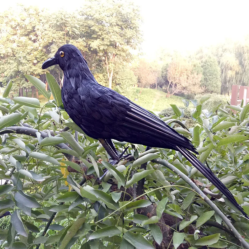 big real life crow model foam&furs black crow Handicraft Ornaments Home Garden Decoration gift about 50cm xf2784