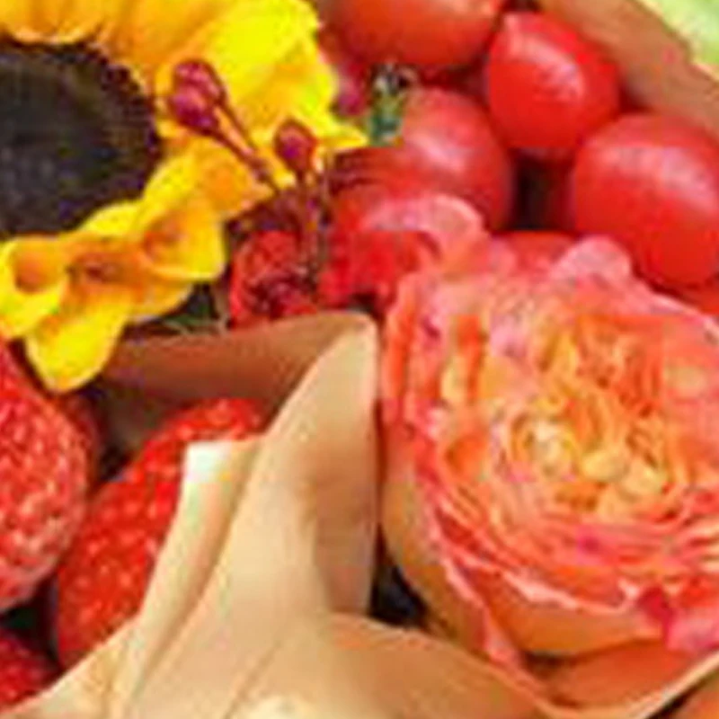 Electric Automatic …