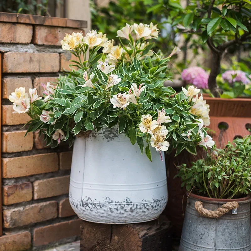 Vintage Made Old Tin Bucket Flower Barrel Flower Pot Vase Decoration Groceries Garden Iron Small Pots for Plants Home Decor