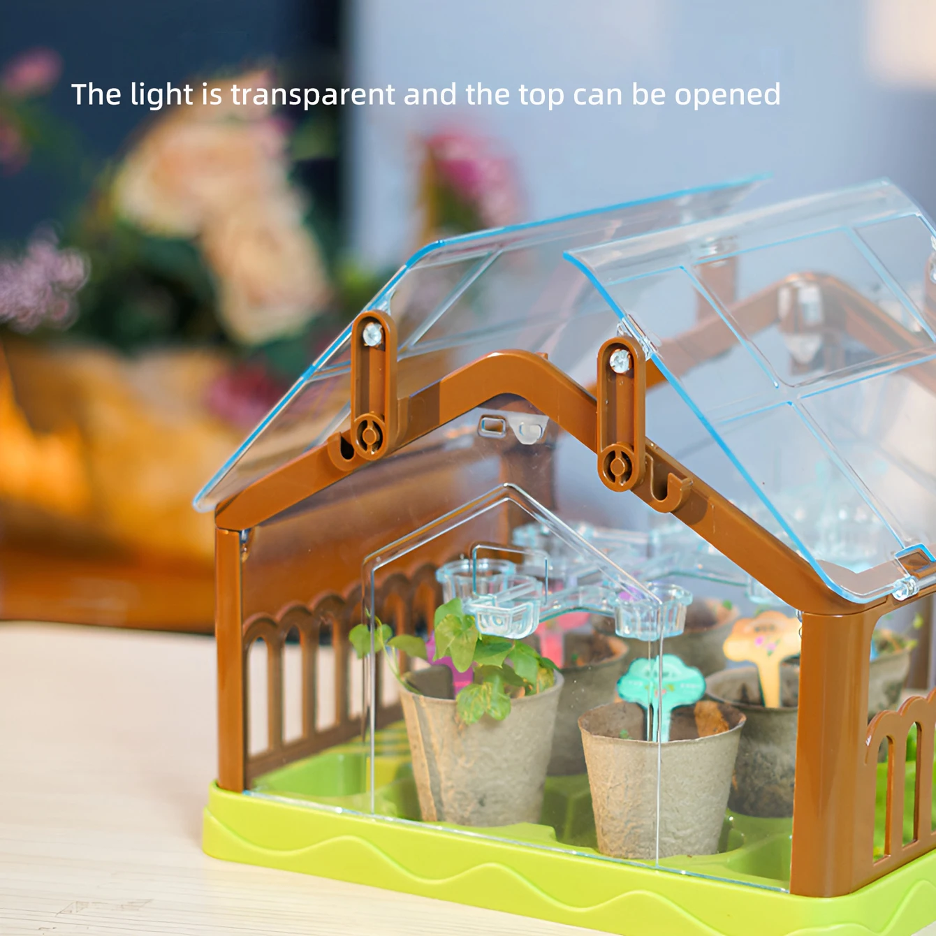 DIY science experiments for children and students: Growing vegetables, potted plants, observing plant growth, and planting toys