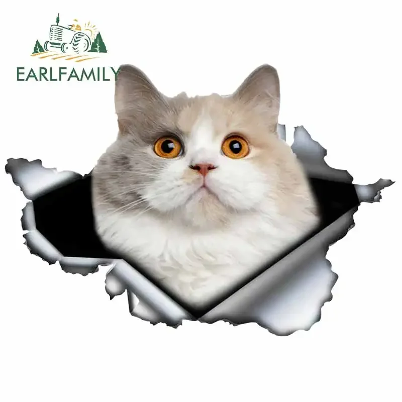 EARLFAMILY 13 cm x 9,2 cm für zerrissenes Metall, Katze, Motorrad, Autoaufkleber, Kofferraumaufkleber, Sonnenschutz, Vinylmaterial, Okklusion, Kratzdekor