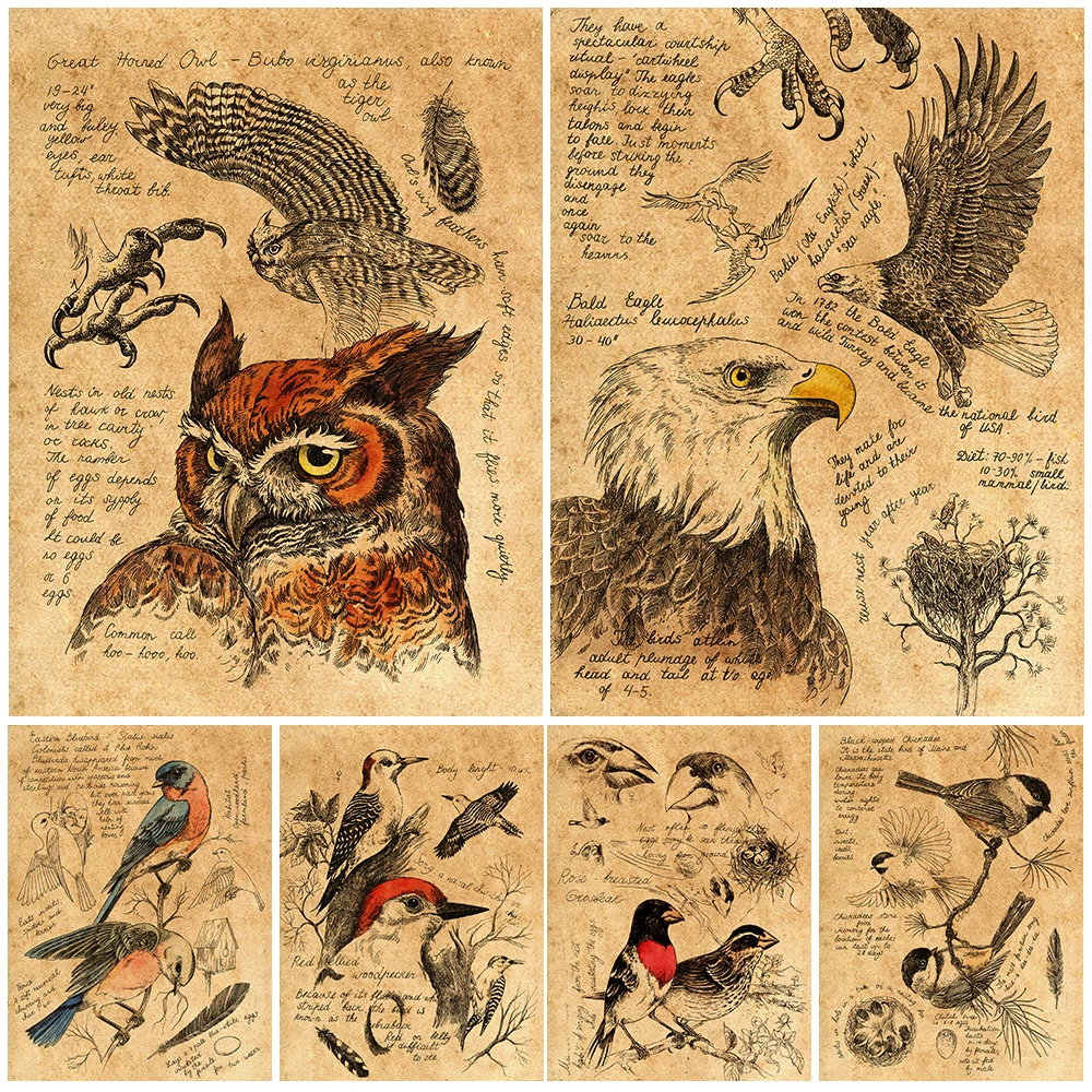Owls, Eagles, Tits Vitnage Biology Wall Art Canvas Painting Illustration Of Birds And Birds Art Poster And Prints Home Decor