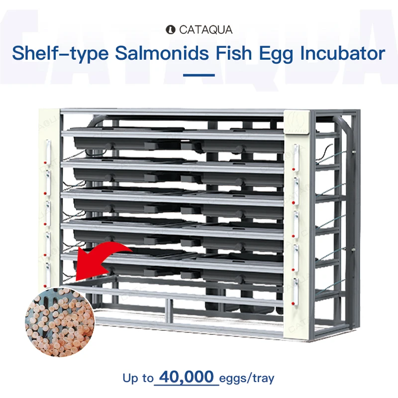 Multi-Functional Automatic Recirculating Vertical Salmonids Fish Egg Incubator Hatchery Tank for Aquaculture Fish Farming