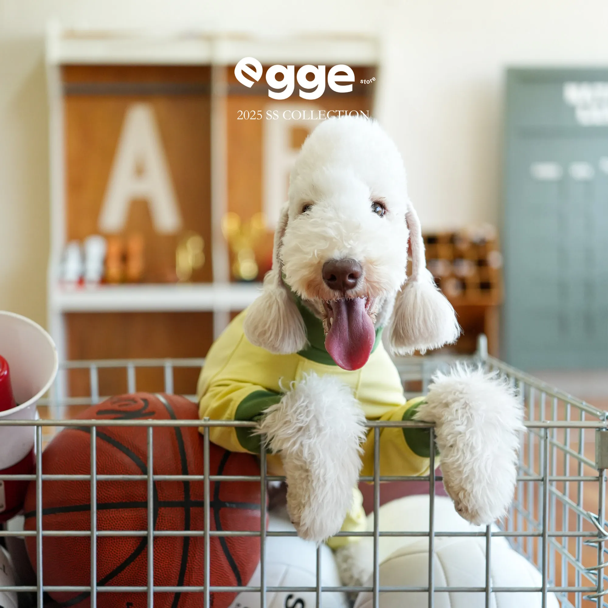 

EGGE Cooling Quick-Dry Sun Protection Jumpsuit for Bedlington Pink Blue Yellow Leisure Anti-Microbial Pajamas for Whippet Dogs