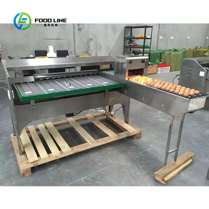 Chicken Egg Size Weight Classify Egg Sorting Machine Automatic Small Scale Grader Sort Egg Grading Machine By Weight Customized