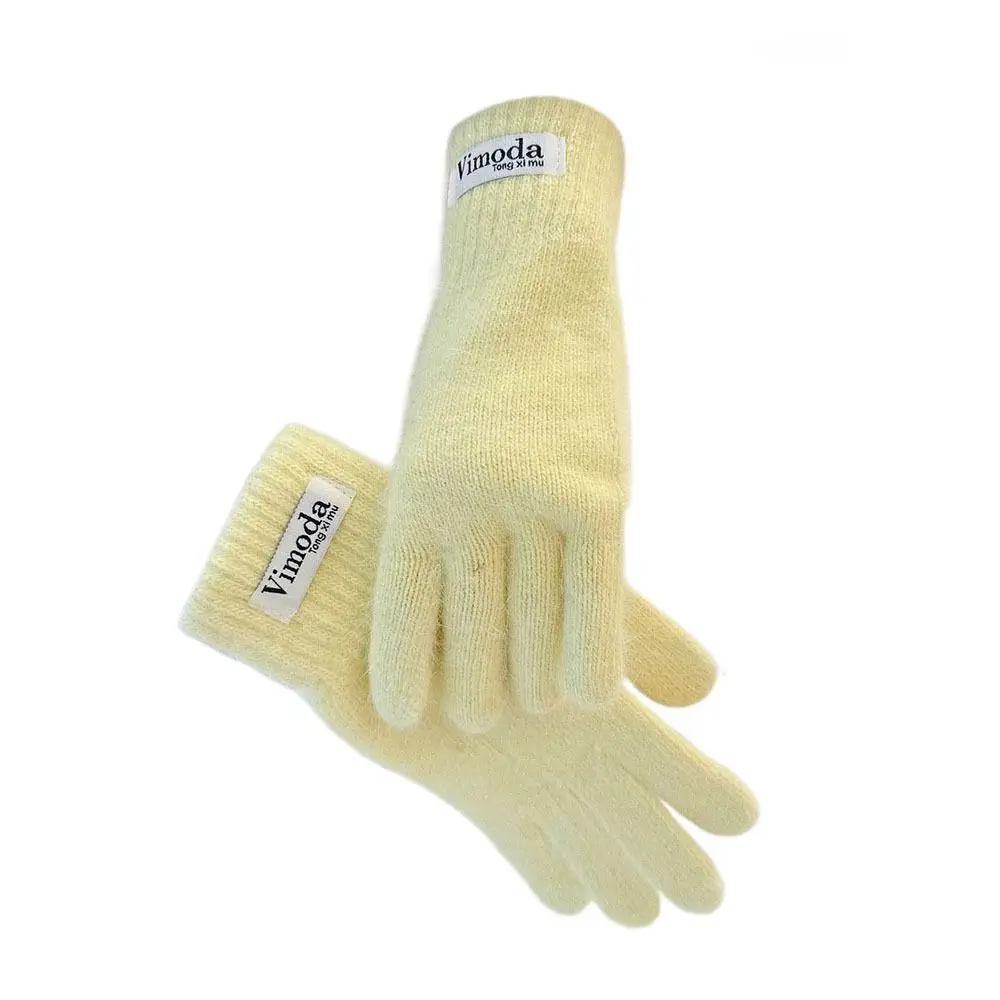 Solid Color Knitted Knitting Wool Gloves Ins Simple Warm Finger Gloves Korean Style Finger Touchscreen Women's Gloves
