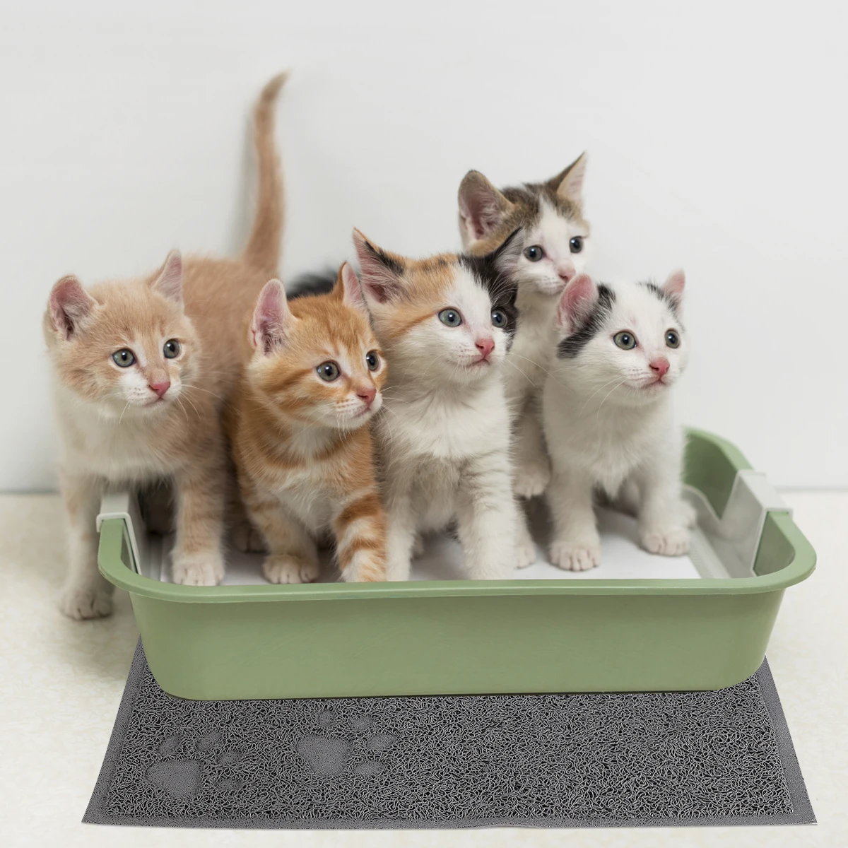 

1 шт. коврик для кошачьего туалета, водонепроницаемый, износостойкий, шлифовальный когти, брызгозащищенный, серый, товары для домашних животных, толстый, легкий коврик для кошек