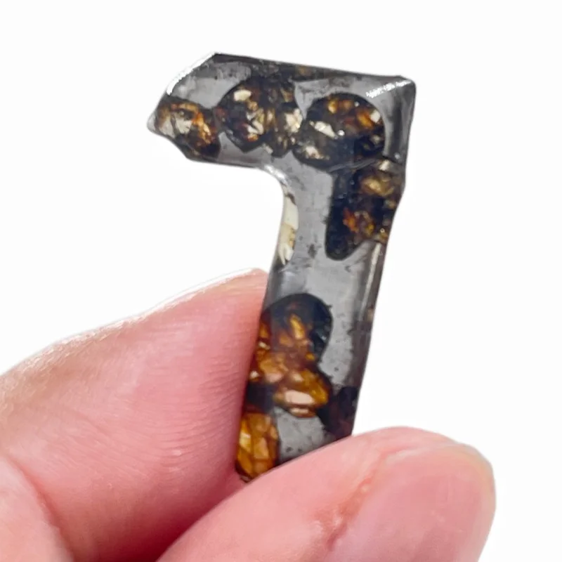 Seymchan Pallasite Meteorite Hand Cut Shape Slice Natural Olivine Crystal Mineral Specimen Space Rock Collection CA124