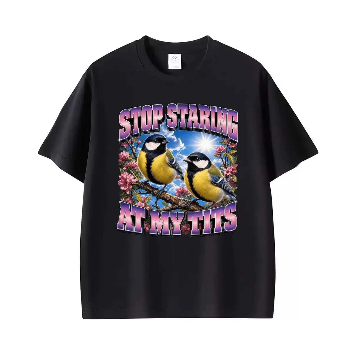 Stop Staring At My Tits Funny Bird Meme Graphic T-shir= Women Clothing Fashion Humor T Shirts Summe=shirt