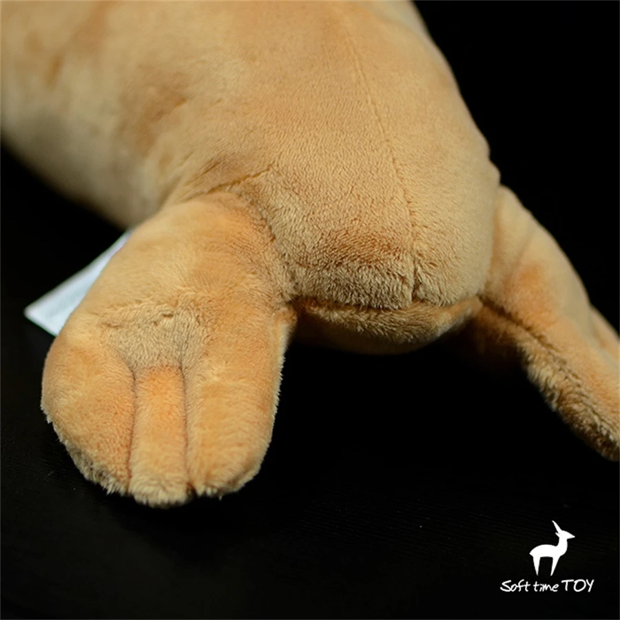 لعبة الفظ القطيفة النابضة بالحياة - حيوان محشو واقعي، بقرة البحر بلوشي، هدية دمية مورس المحاكاة