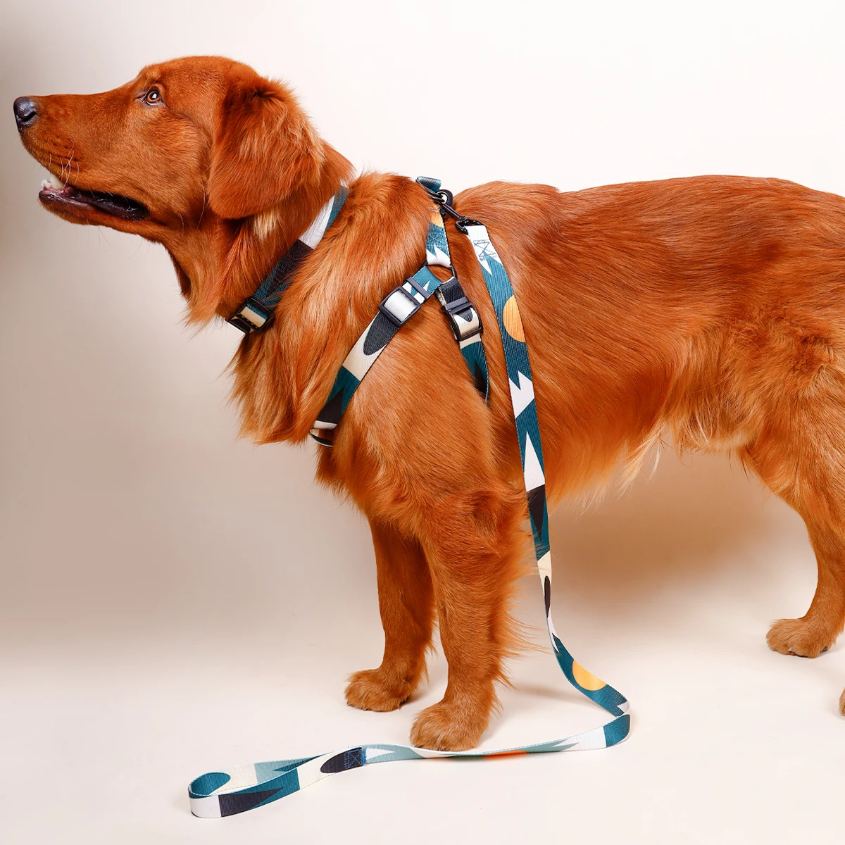 1PC Pet Abstract Chest And harness Set, Dog Webbing Leash, Dog Walking Leash, Dog Collar Three-piece Set