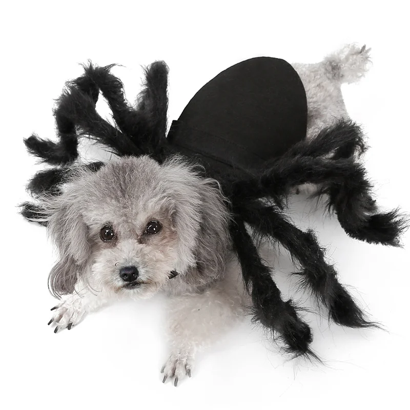 

Halloween Dog Cat Spider Clothes Pet Cosplay Funny Spider Costume Halloween Party Costumes for Small Medium Dog Cat Costumes