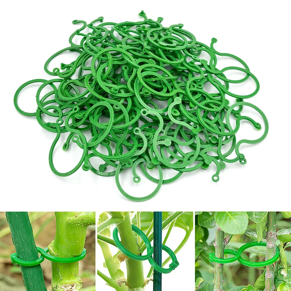 Garden Decorations Plant Climbing Wall Clips 50Pcs 8 Word Buckle Vine Tying Clips Ring Fixing Bracket Garden Plant Holder Tools