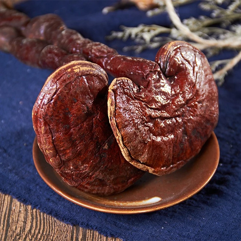 

Natural Changbaishan Ganoderma Special Grade Wild Ganoderma Lucidum For Beauty Health DIY Resin Raw Material Photography Props