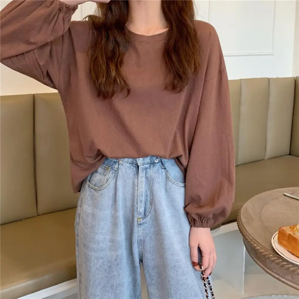 Loose Tailoring Blouse Stylish Women's Long Sleeve T-shirt Collection Round Neck Lantern Sleeve Tee Soft Stretchy Top for Daily