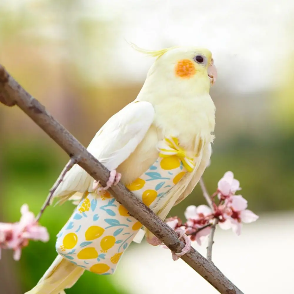 Fruit Printed Parrot Diaper Breathable Waterproof Bird Diaper Clothes with Bowtie Elastic Strap Parrot Urine Pants