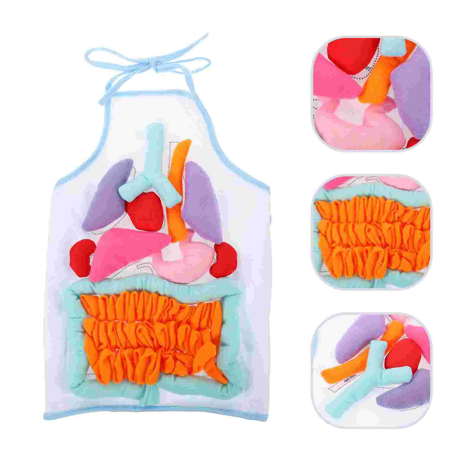 Human Organs Apron Body Childhood Teaching Aids Educational Model Children Learning