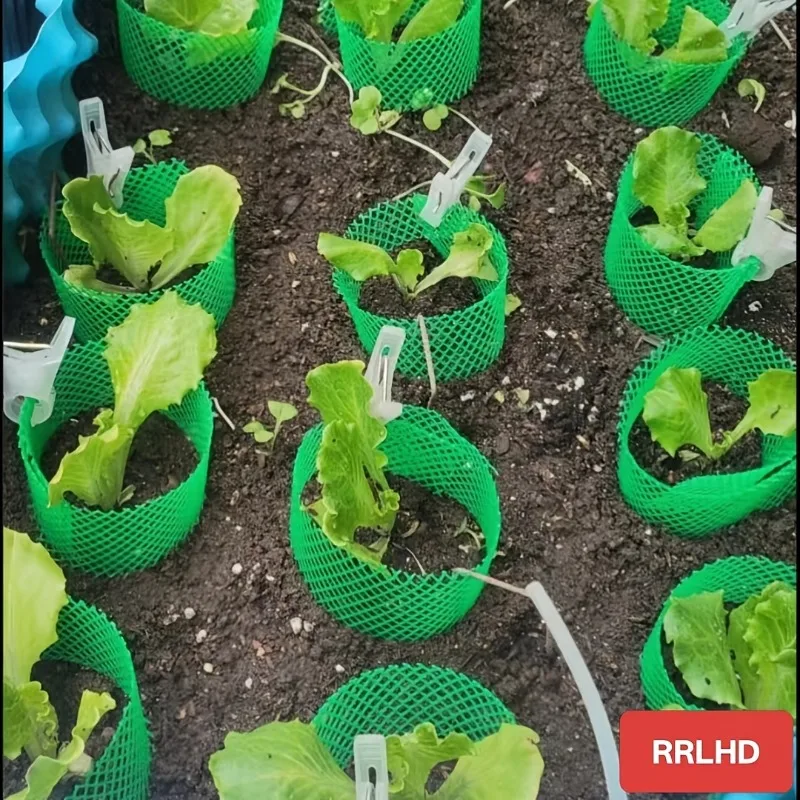Green Plastic Mesh, Suitable for Bonsai, Plant Drainage Mats, Elevated Flower Bed Extensions, and Balcony Protection