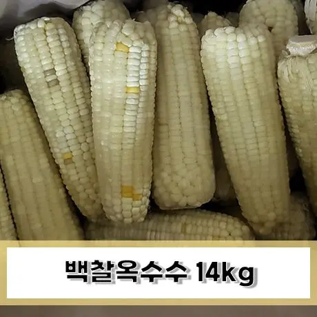 14kg of white-white corn