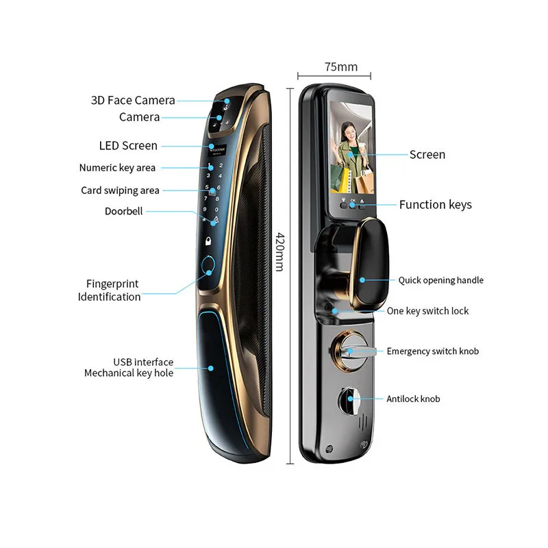 Automatic Fingerprint Electronic Digital  3D Face Recognition Cards Keys Aluminum Alloy Cloud Smart Door Lock Wi-Fi Home view 3