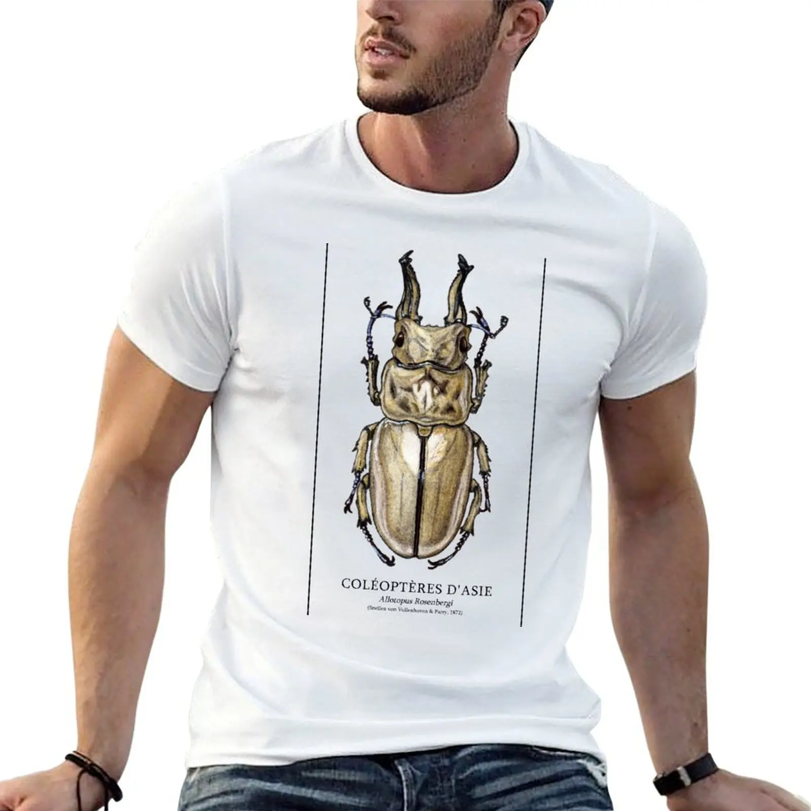 

casual board t Golden shirt stag beetle T-Shirt tshirt man - Anatomical man