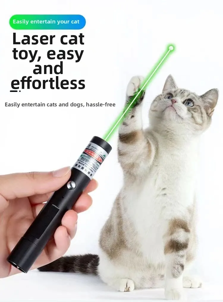 Green Laser Pointer USB Rechargeable Portable Mini 301 Laser Pen Cat Interactive Teaser Flashlight