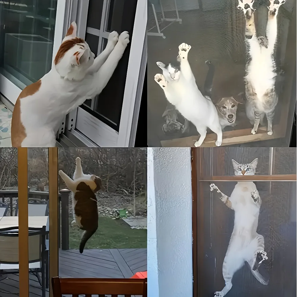 Nano PP Invisible Window Screen Mesh Self-Assembling,  Durable Filtering for Garden, Mice, Insects Invisible Mesh