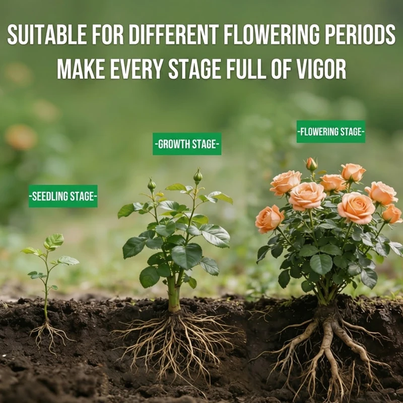 Plant Rooting Solution Rooting Booster Promotes Root Growth Stronger Root System Faster Plant Recovery Easy Application-SIKEZHAN