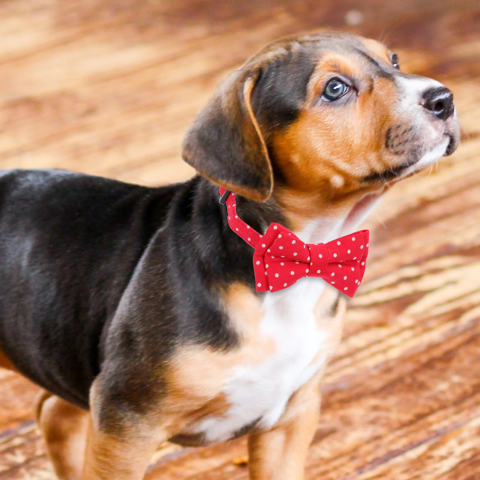 

Pet Bow Dog Collar Adjustable Small Puppy Tie Cotton Collars For Small Dogs Bow Bell Anti Lost Comfort Festivals Gifts
