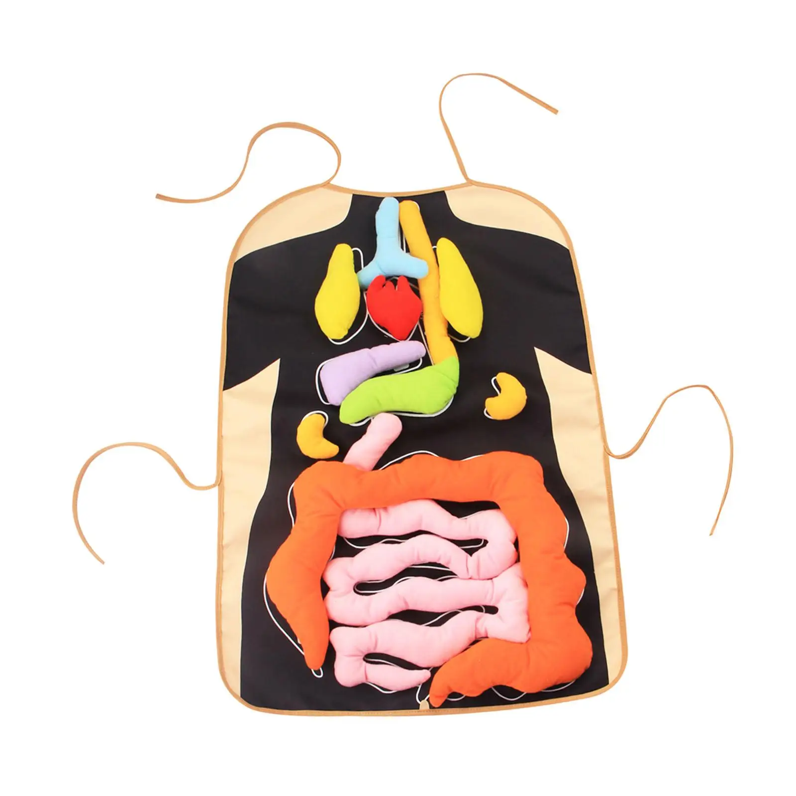 3D Organ Apron Intellectual Development Science Teaching Aid Educational Toys for Insights Body Parts Home Kindergarten School