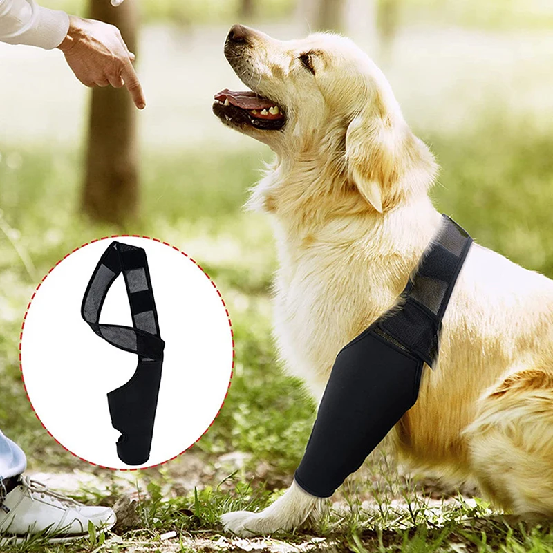 Dog Knee Pads Injury Recovery Fixed Support Brace Pet Protector Pain Relief Feet Cover Leg Joint Wrap Support Pet Recover